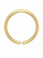 SHREEVARAM Pack of 2 Gold-Plated Brass Nose Ring